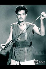 NTR Birthday Special Gallery